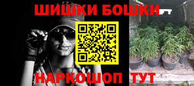 прущие грибы Новокубанск