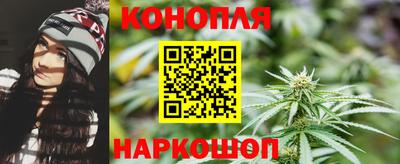 прущие грибы Новокубанск