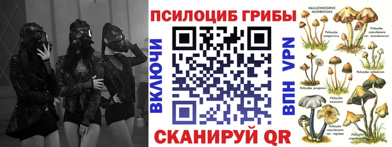 Псилоцибиновые грибы мицелий  где можно купить   Киреевск 