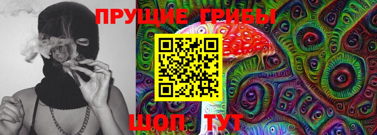 Псилоцибиновые грибы Cubensis Киреевск