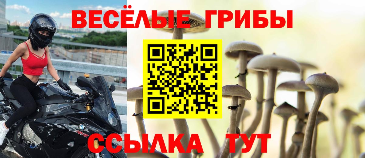 Псилоцибиновые грибы ЛСД  Вход с VPN  Киреевск 