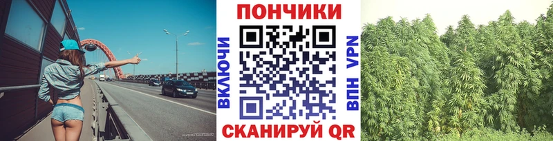 наркотики это как зайти Канабис марихуана Киреевск